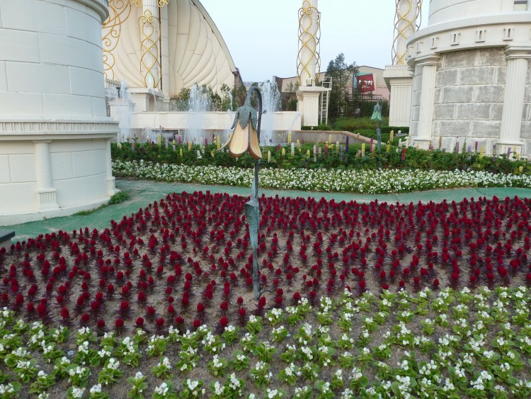 2011 год № 30 Южная Корея Сеул Everland Samsung Rose Garden - 56 11.06.03 Everland Парк Rose Garden 178.JPG