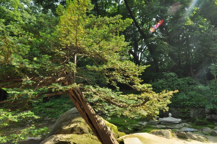 2011 год № 33 Южная Корея Сеул Secret Garden Секретный Сад - 63 11.06.04 Secret Garden Секретный сад 171.JPG