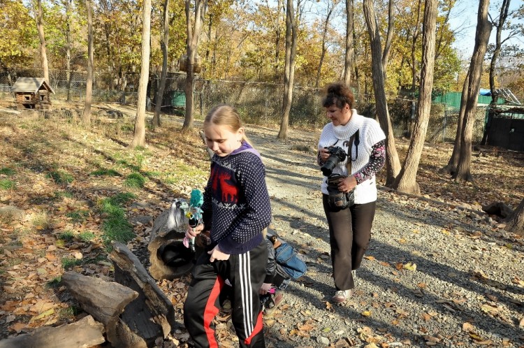 2015 год. Что будет в памяти о нём в наших фотографиях - 15.10.14 Владивосток Арбитраж Сафари зоопарк 155