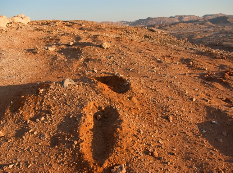 2024 - Кратер Рамон - Подъём на сам Рамон - Mitzpe Ramon 013.JPG