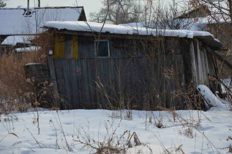 240 брошенных домов в поселке Кировский Приморья - DSC_7951.JPG