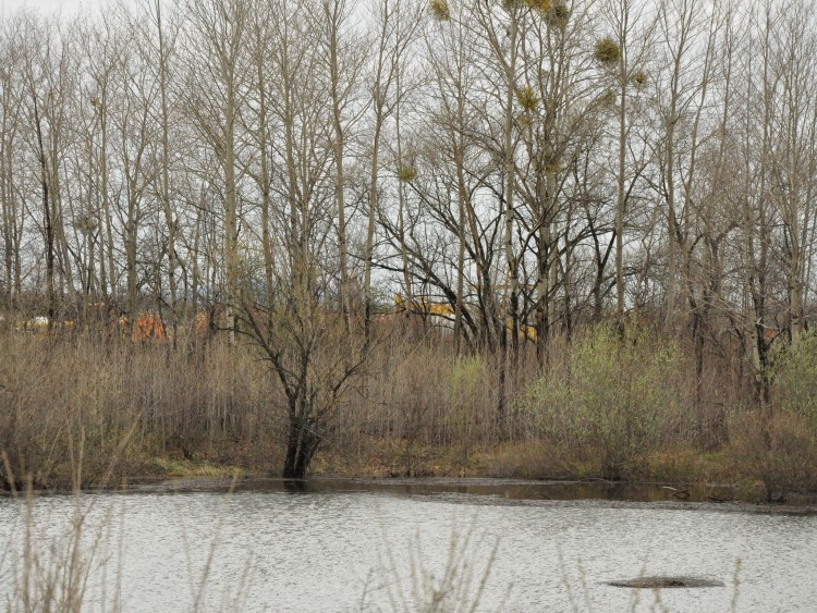 Архангеловка село Кировский район Приморский край - 10.05.06.0034.JPG