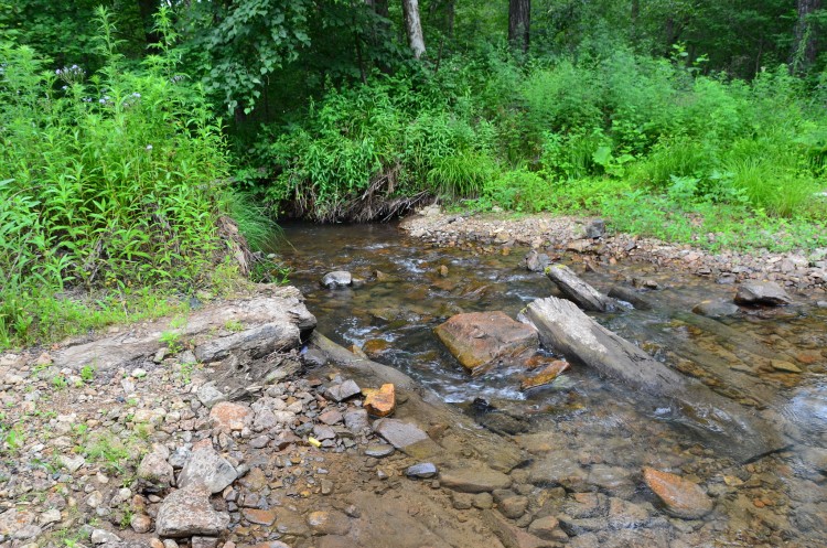 Архангеловка село Кировский район Приморский край - 14.06.29 011