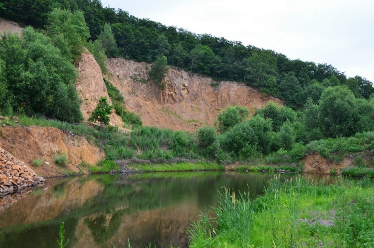 Архангеловка село Кировский район Приморский край - 14.06.29 039