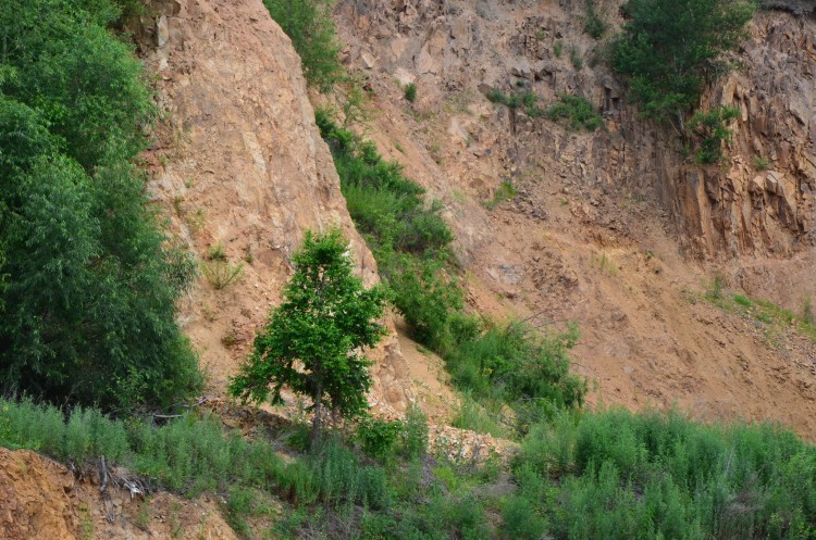 Архангеловка село Кировский район Приморский край - 14.06.29 044