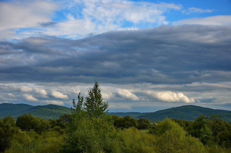 Архангеловка село Кировский район Приморский край - 18.08.27 015