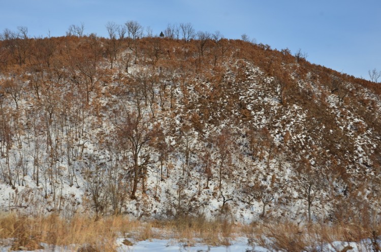 Бохайское царство (698-926 гг. н. э.) Кировский район - DSC_0346.JPG