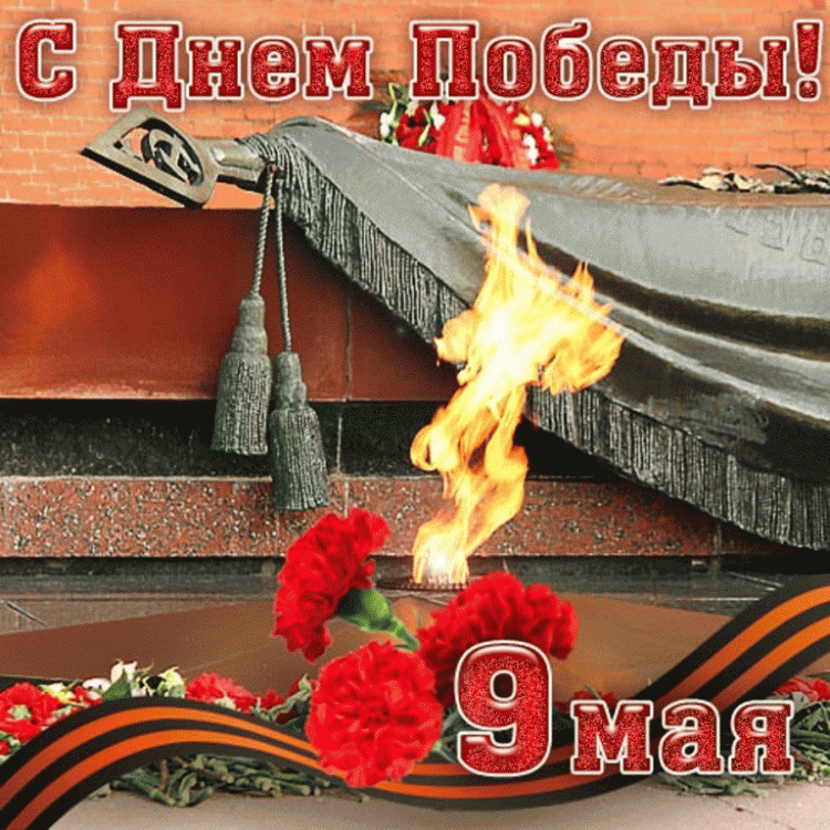 День Победы в ВОВ за 2011 год. 66 годовщина Победы - c2fd44c724