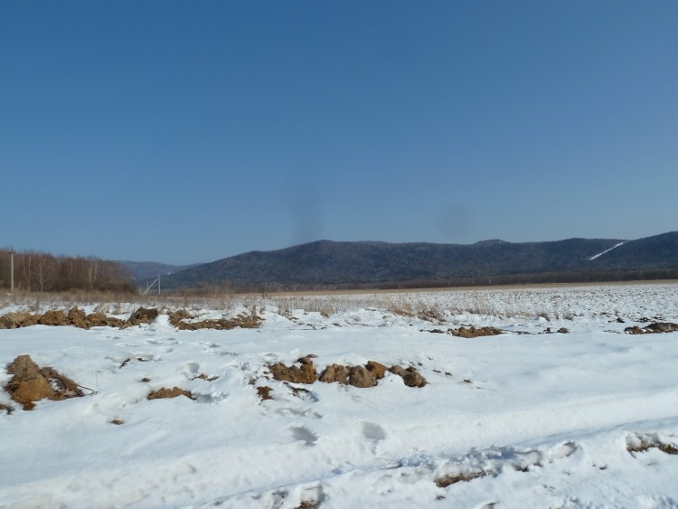 Еленовка село Кировский район Приморский край - 12.03.12.032