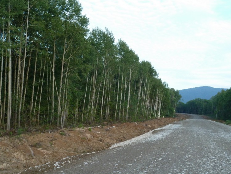 Еленовка село Кировский район Приморский край - 12.08.27.015