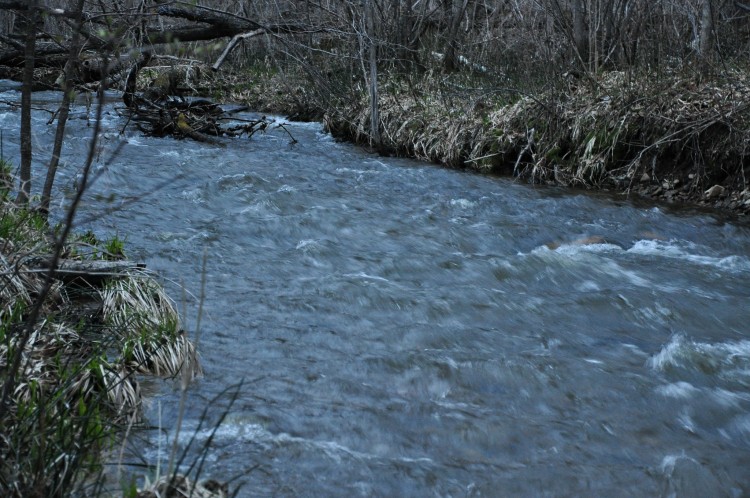 Еленовка село Кировский район Приморский край - 13.05.02.041