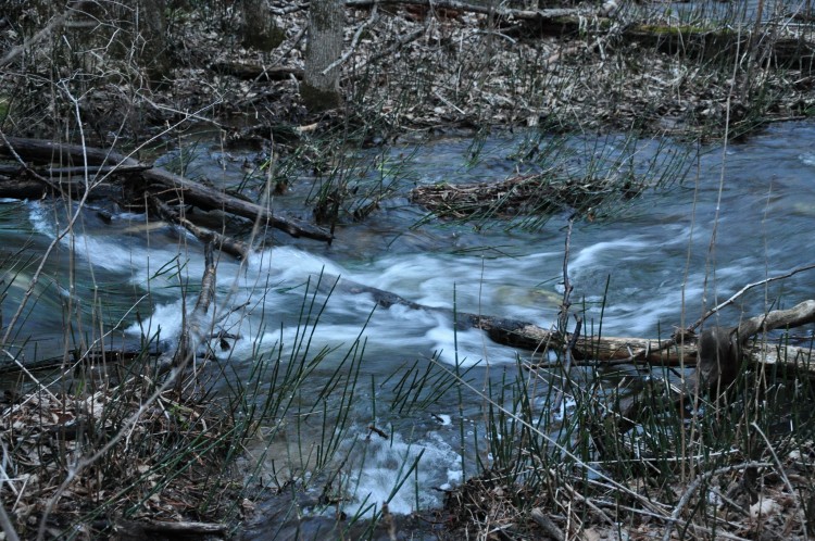 Еленовка село Кировский район Приморский край - 13.05.02.045