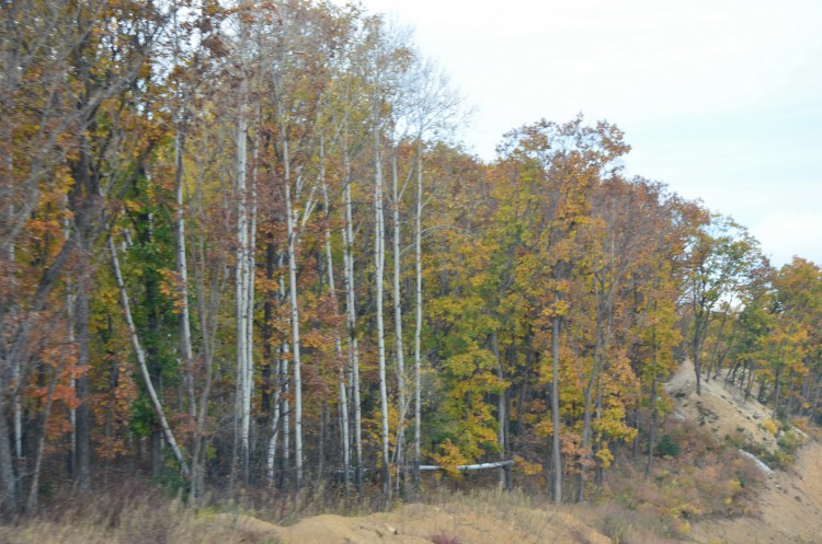 Еленовка село Кировский район Приморский край - 13.10.08.088.JPG