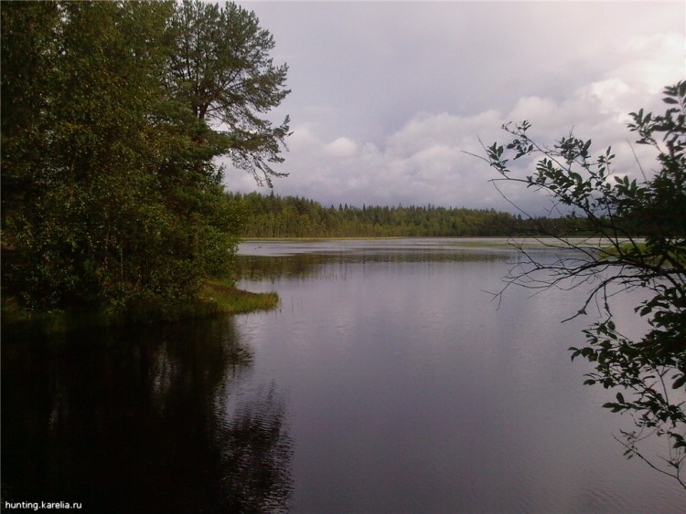 Это Карелия. Самая красивая страна озер № 01 - 8a50de36e33d