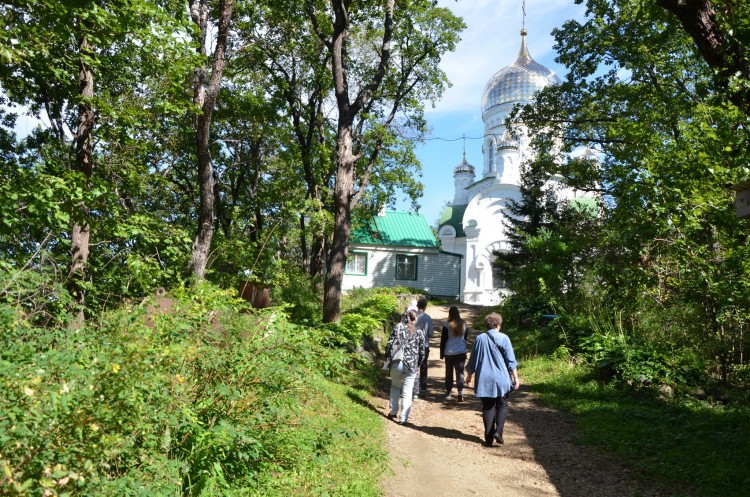 КИРОВСКИЙ РАЙОН ПРИМОРСКОГО КРАЯ 11.09.2024 Шмаковка и т.д. - DSC_6909.JPG