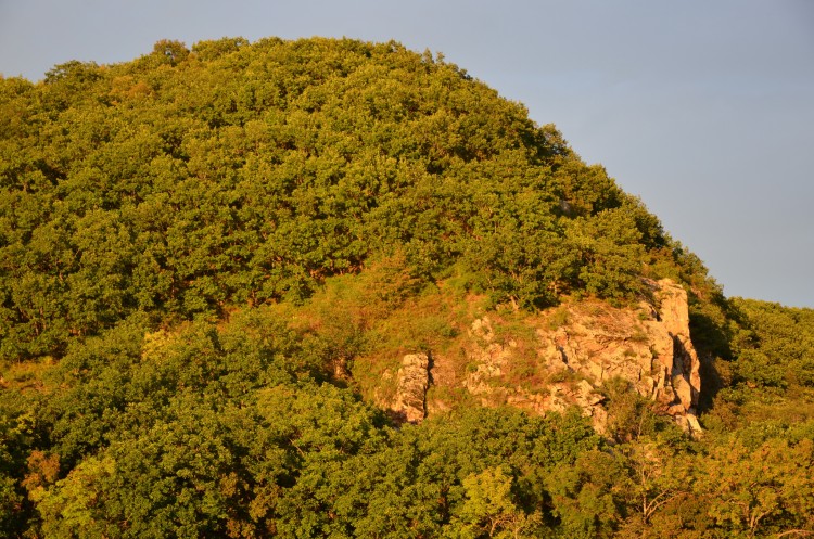 КИРОВСКИЙ РАЙОН ПРИМОРСКОГО КРАЯ 11.09.2024 Шмаковка и т.д. - DSC_7333.JPG