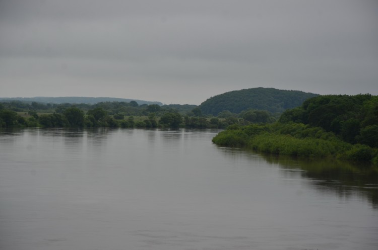 Кировский район Приморского края природа 2024 год - DSC_5693.JPG