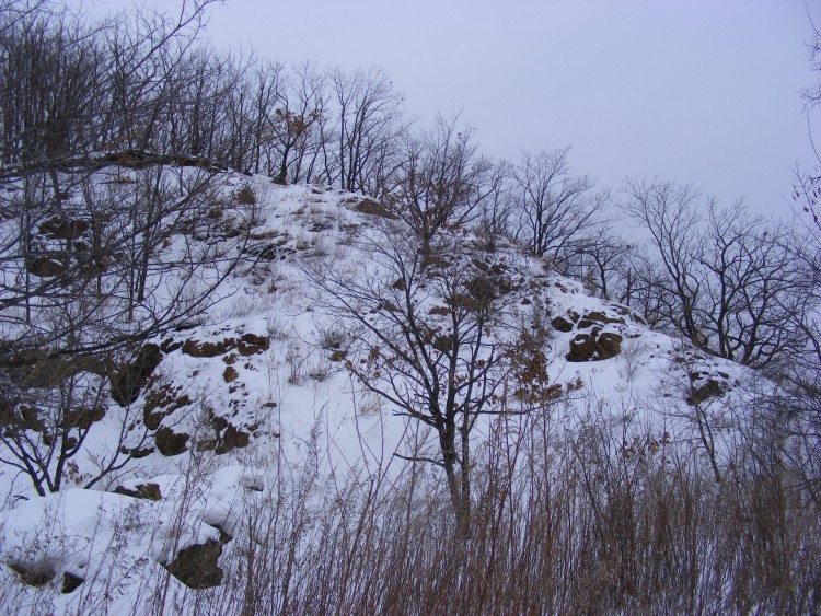 Крыловка село Кировский район Приморский край - 09.02.12.042