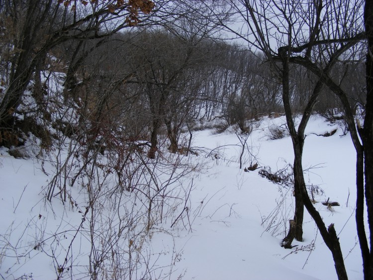 Крыловка село Кировский район Приморский край - 09.02.12.043