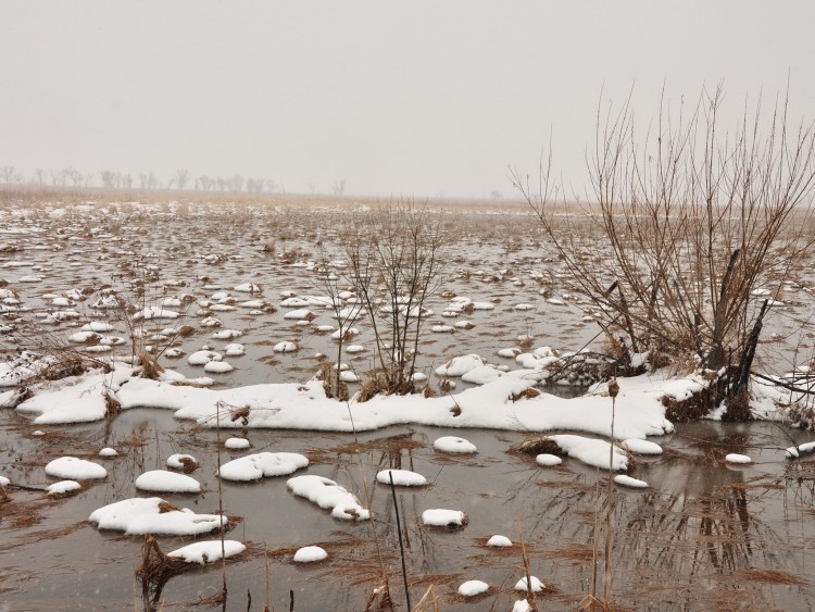 Крыловка село Кировский район Приморский край - 10.04.13.094.JPG