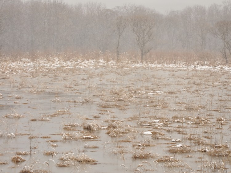 Крыловка село Кировский район Приморский край - 10.04.13.095.JPG