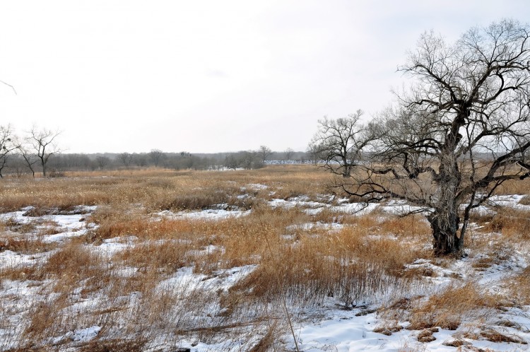 Марьяновка село Кировский район Приморский край - 14.02.10 Марьяновское Городище 042.JPG