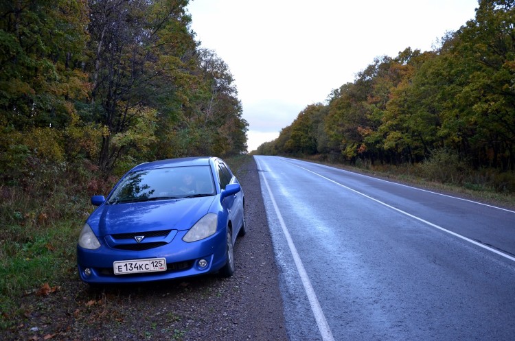 Наша теперь любимая машина - Toyota Caldina № 02 - DSC_0795.JPG