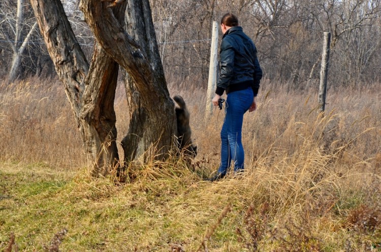 Они живут рядом с нами. Наши Животинки № 16 - DSC_2162.JPG