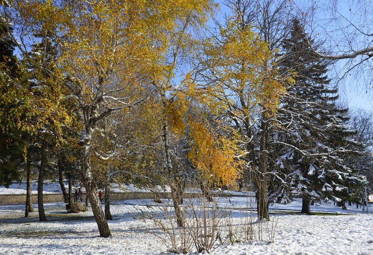 Осень настала, холодно стало, птицы... 2014 год № 03 - _DSC0246коп2.JPG