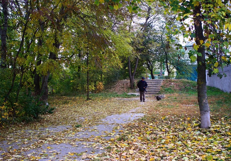 Осень, осень, лес остыл и листья ... 2012 год - 29lfo1s