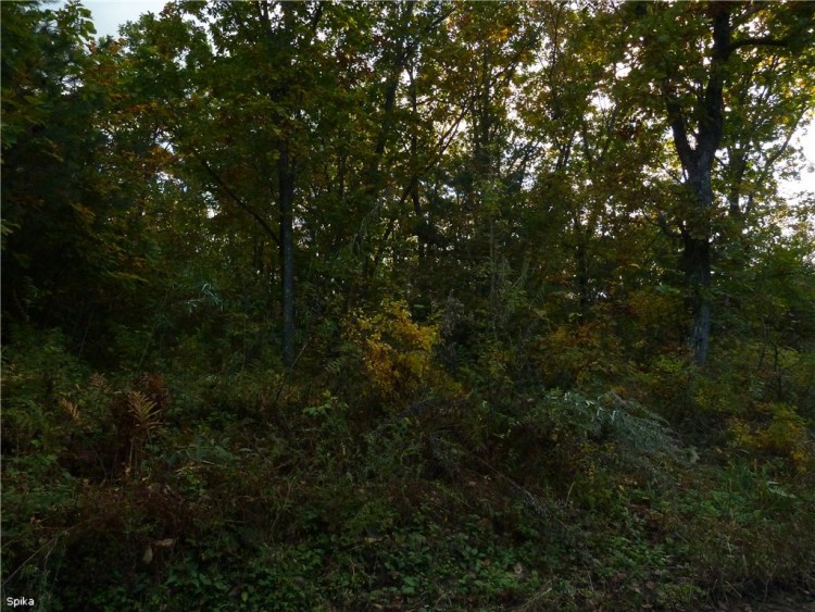 Осень, осень, лес остыл и листья ... 2012 год - b1a4f71260