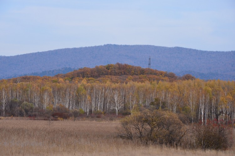 Осень Приморского края. 2013 год - DSC_8051.JPG