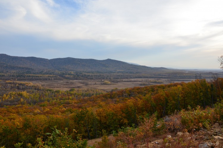 Осень Приморского края. 2013 год - DSC_8074.JPG