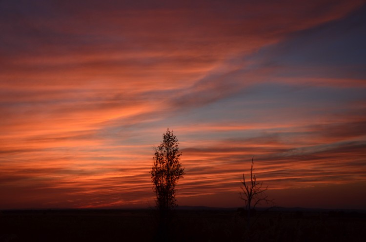 Осень Приморского края. 2013 год - DSC_8211.JPG