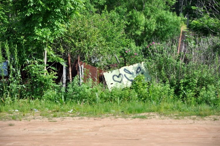 Остров Русский и Великий Тихий океан. Все года № 02 - DSC_0488.JPG