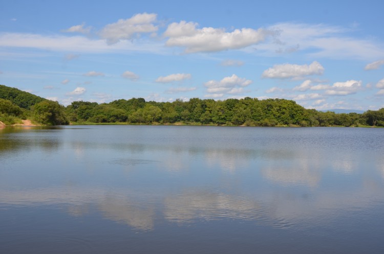 Параллельные миры. Отражения в воде всего, что можно - DSC_0070.JPG