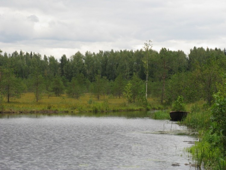 Пейзажи городов и сел. Здания обязательны! № 1. - 6d1f24_XXL