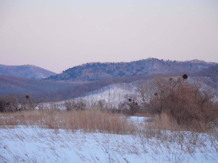 Подгорное село Кировский Район Приморский край - 2010.03.07 013.JPG