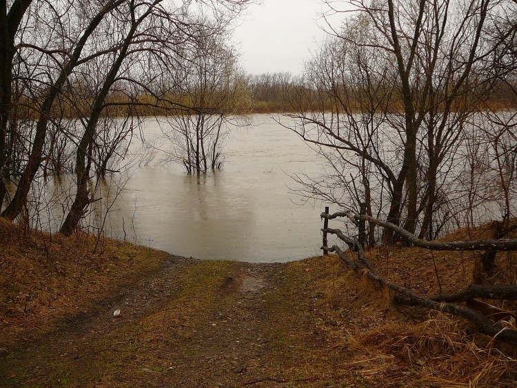 Подгорное село Кировский Район Приморский край - 2010.03.07 035.JPG