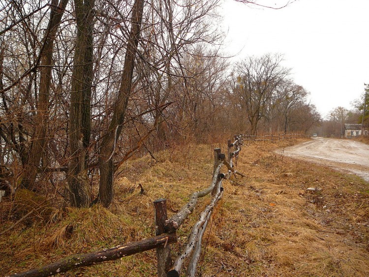 Подгорное село Кировский Район Приморский край - 2010.03.07 038.JPG