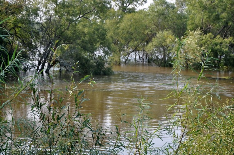 Поселок Кировский в Кировском районе Приморья № 01 - DSC_0788.JPG