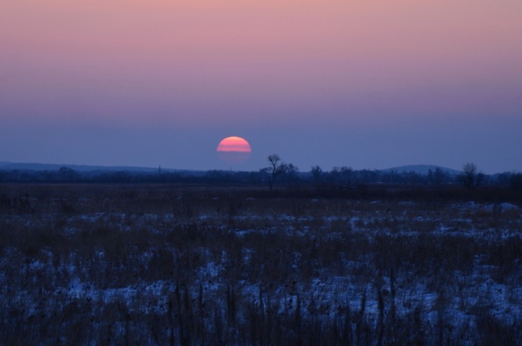 Посленовогодние покатушки по долам Приморья - DSC_0262