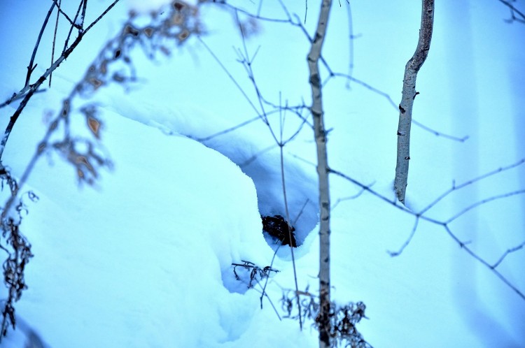 Посленовогодние покатушки по долам Приморья - DSC_3857.JPG