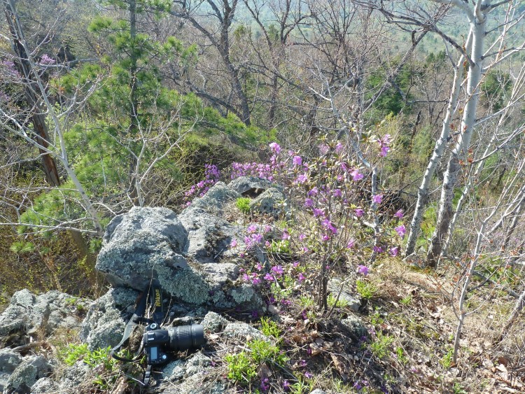 Преображенка село Кировский район Приморье № 01 - 2012.05.12 296.JPG