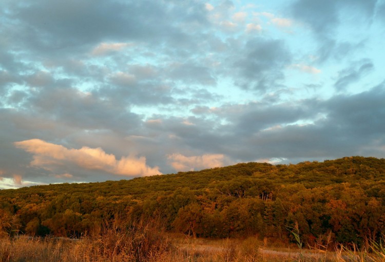 Преображенка село Кировский район Приморье № 01 - 2012.10.01 064.JPG