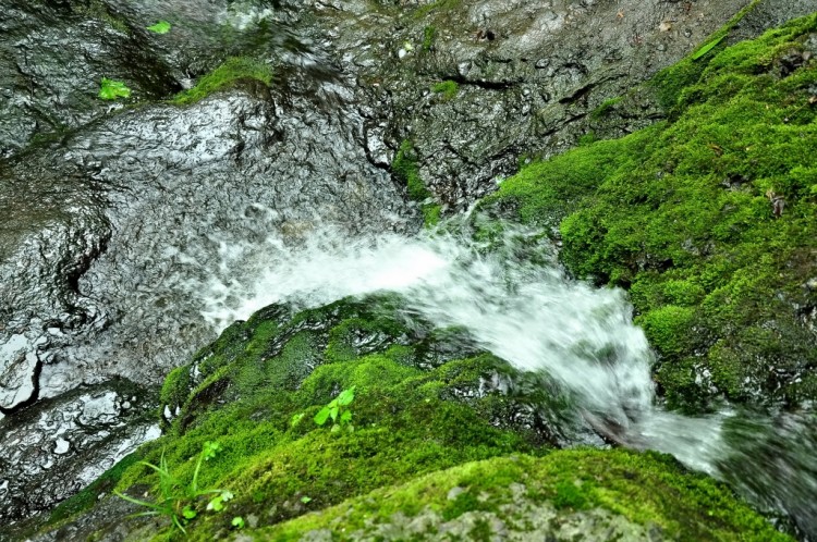 Приморский край. Кравцовские Водопады. Часть 02 - DSC_6217.JPG