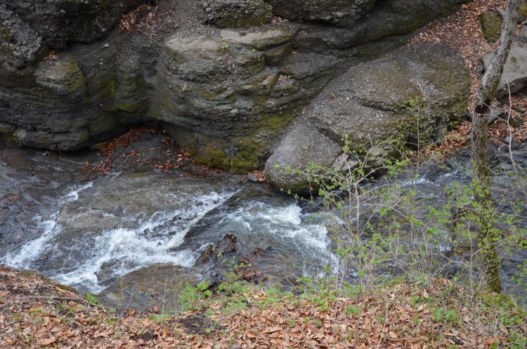 Приморский край. Кравцовские Водопады. Часть 03 - DSC_0706.JPG