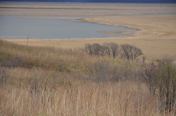 Приморский край. Кравцовские Водопады. Часть 03 - DSC_0758.JPG