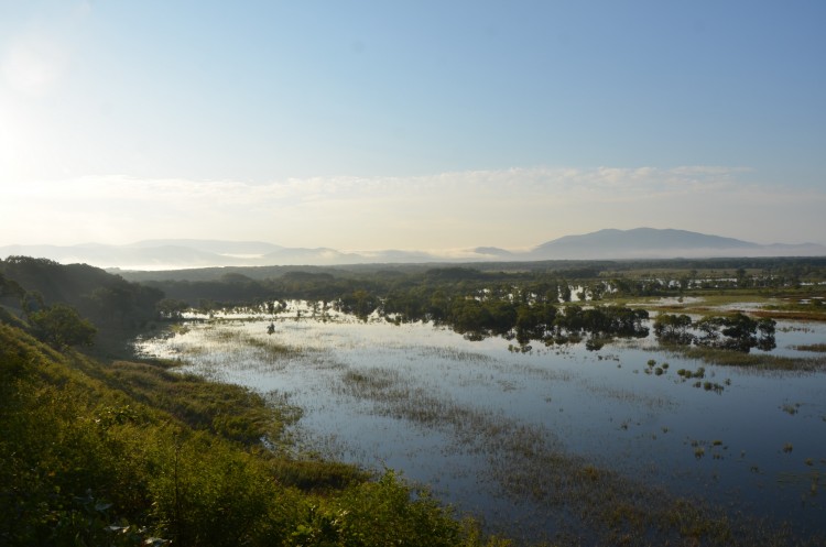 Приморский край ТОНЕТ. Тайфун KHANUN тут ни при чем - DSC_2432.JPG