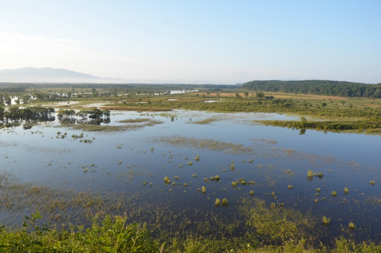 Приморский край ТОНЕТ. Тайфун KHANUN тут ни при чем - DSC_2438.JPG